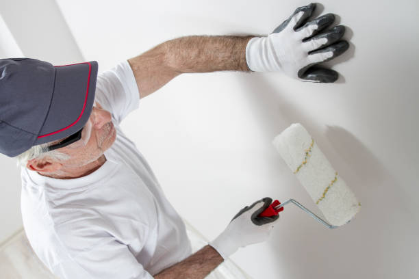Best Mold Documentation for Insurance Claims  in Gunbarrel, CO