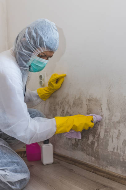 Best Indoor Air Quality Assessment  in Gunbarrel, CO