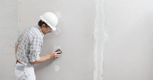 Best Water Damage & Mold Remediation  in Gunbarrel, CO