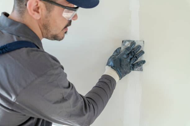 Best Black Mold Removal  in Gunbarrel, CO
