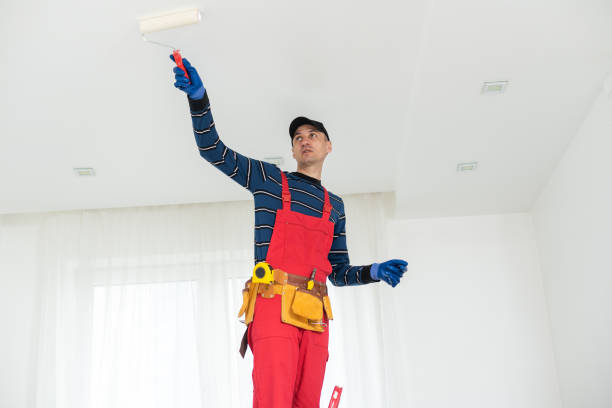 Best Dehumidification Services  in Gunbarrel, CO