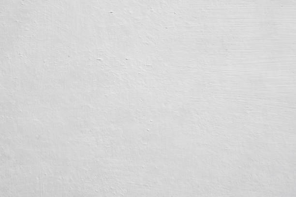  Gunbarrel, CO Mold Removal Pros