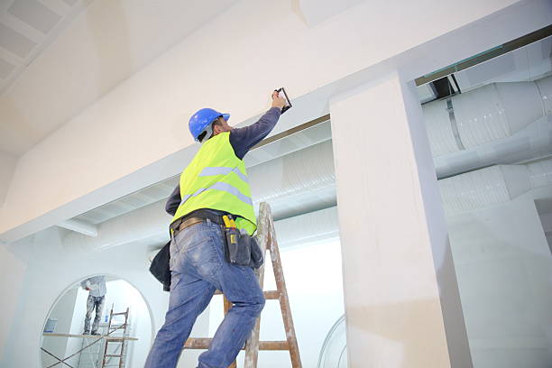Reliable Gunbarrel, CO Mold Removal Solutions