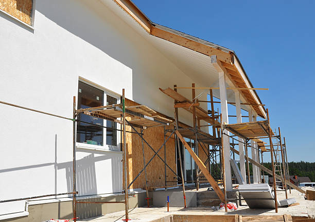 Best Biohazard Mold Removal  in Gunbarrel, CO