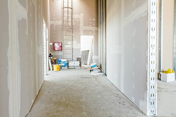 Best Mold Removal for HVAC Installations  in Gunbarrel, CO