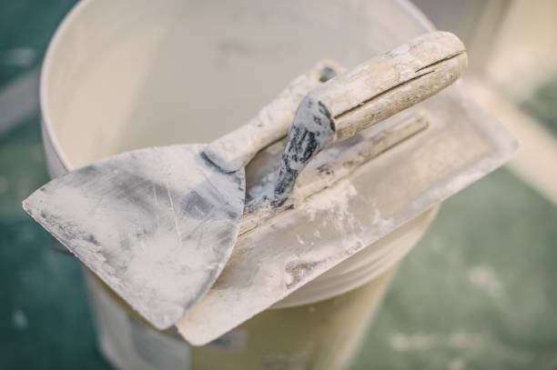 Best Basement Mold Removal  in Gunbarrel, CO